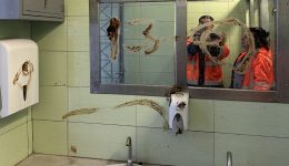 siros-ikones-vandalismou-stis-dimotikes