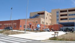 sizitisi-gia-tin-leptospirosi-sto