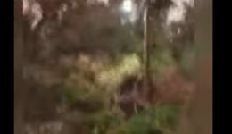 spinthires-se-kolona-tis-dei