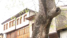 sta-Άno-poroia-gia-tin