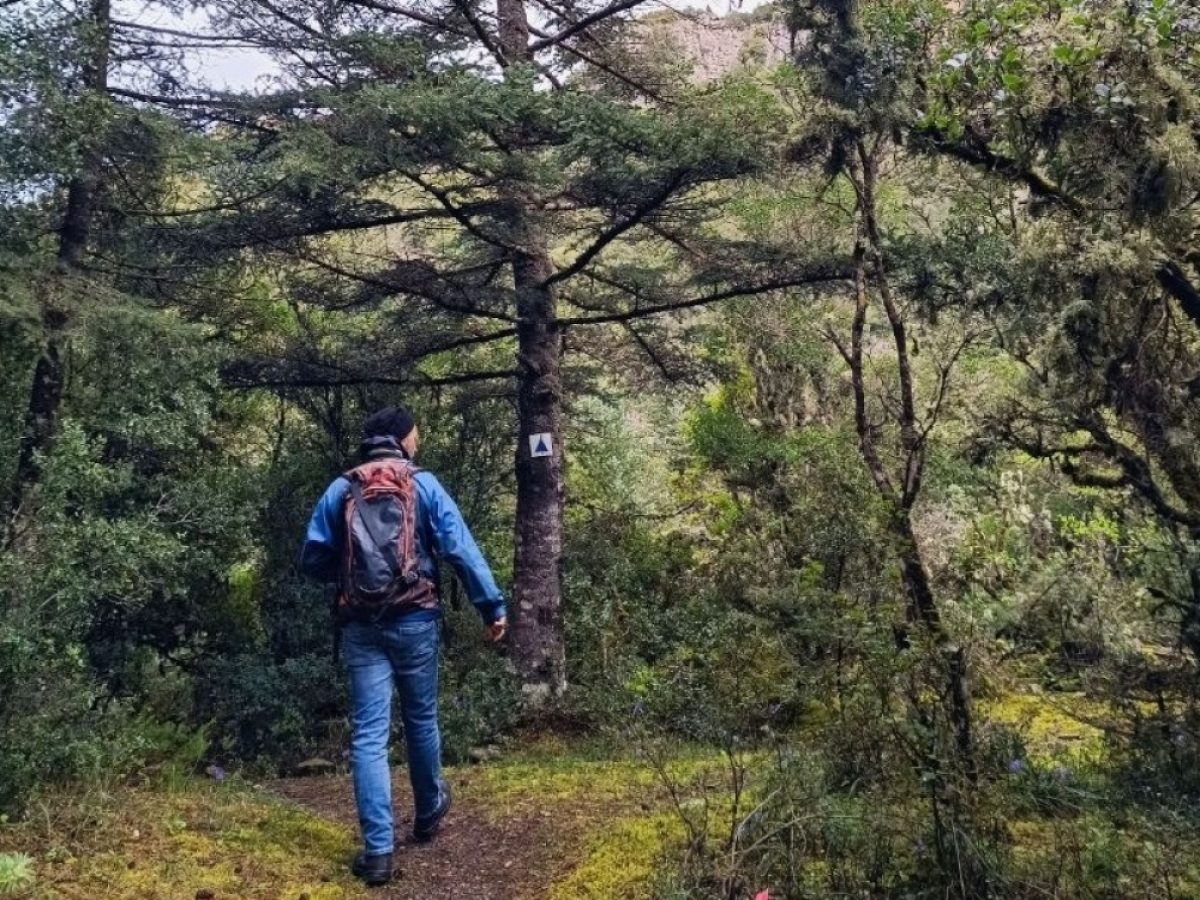 Στα μονοπάτια του Χιονοβουνίου Πάρνωνα πεζοπορεί ο ΕΟΣ Μολάων-ΝΑ Λακωνίας