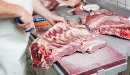 sta-perisina-epipeda-i-timi-2