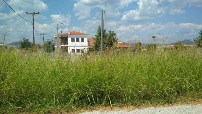 sta-teli-maiou-i-etisis