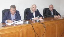steni-sinergasia-dimou-pilis-&ndash;-1