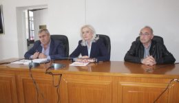 steni-sinergasia-dimou-pilis-&ndash;-2