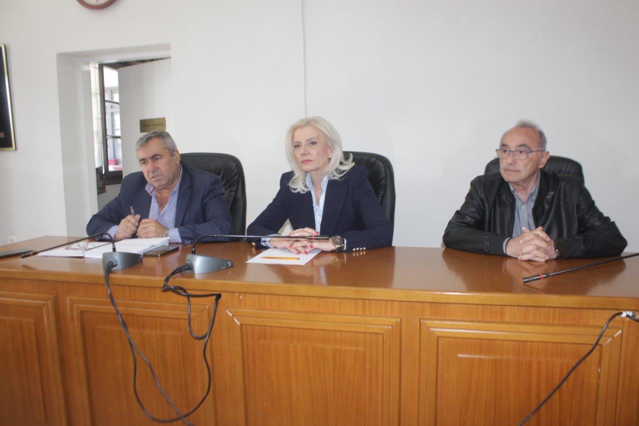 steni-sinergasia-dimou-pilis-–-2