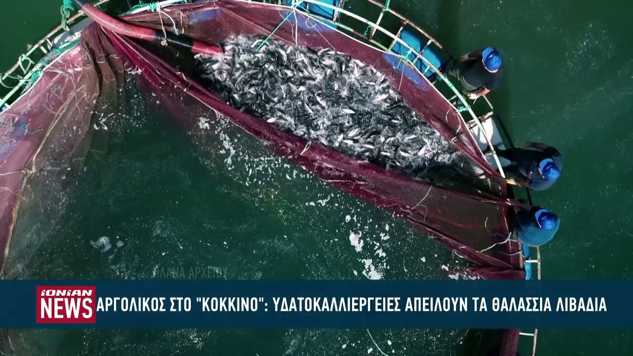 sto-kokkino-o-&Alpha;rgolikos-kolpos