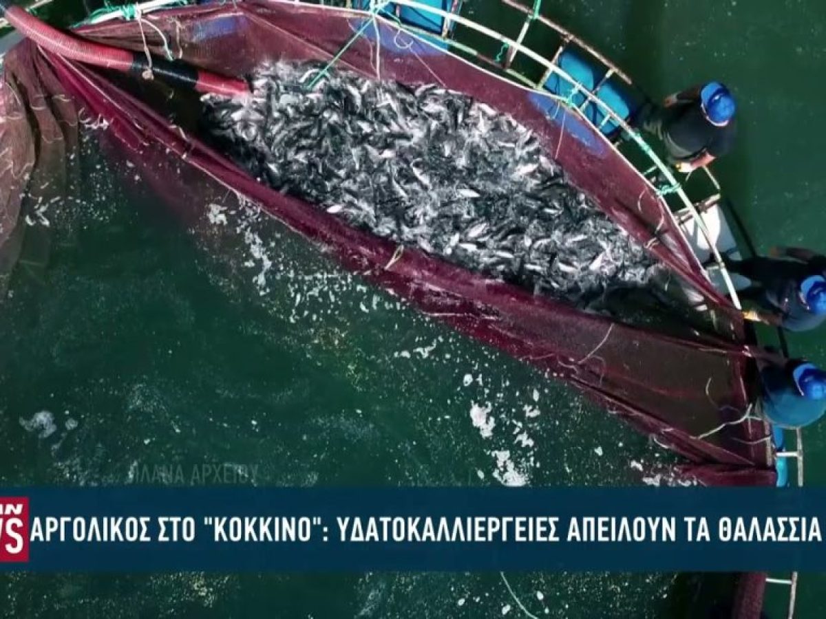 Στο «κόκκινο» ο Αργολικός κόλπος: Yδατοκαλλιέργειες απειλούν τα θαλάσσια λιβάδια