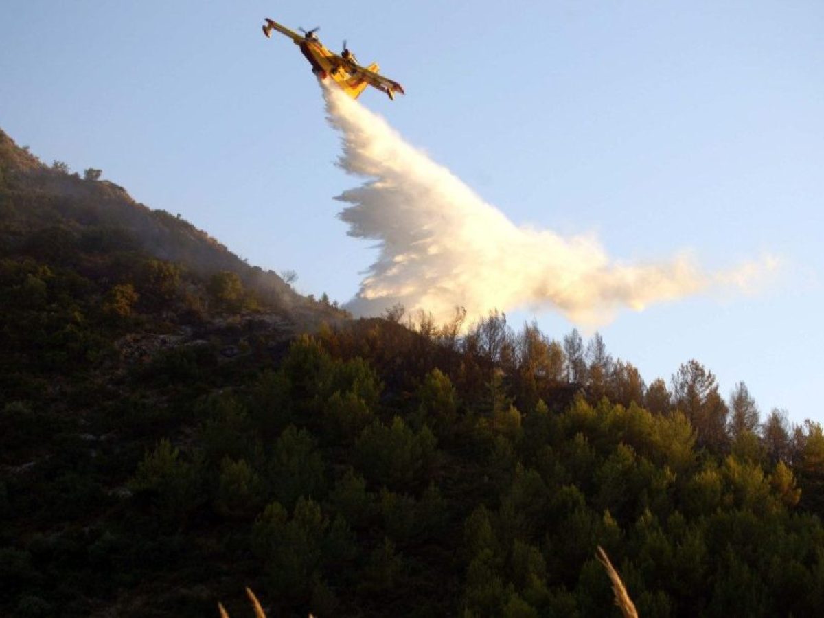 Στο Νοσοκομείο ένα άτομο από τη φωτιά στο Νεοχώρι – Κάηκαν 10 στρέμματα δάσους