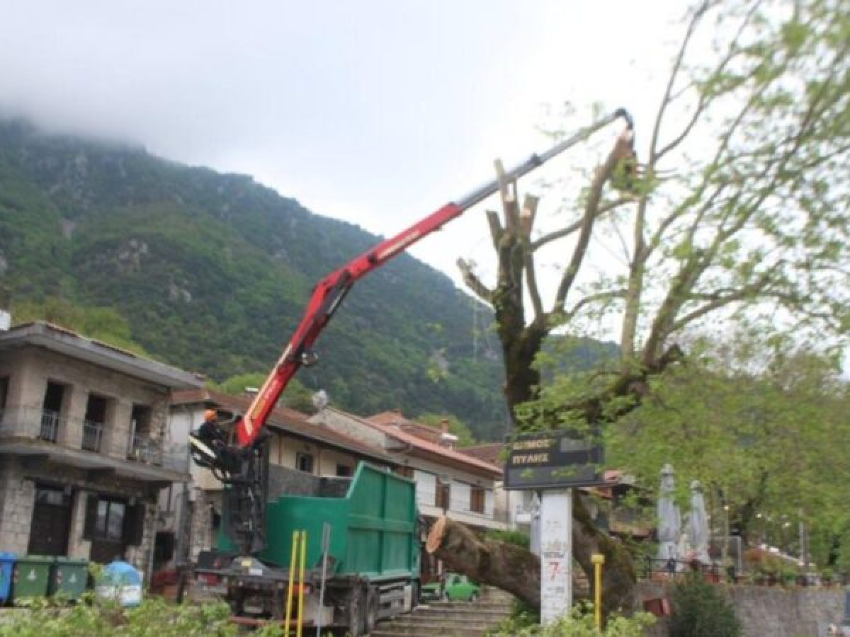 Στοχευμένες παρεμβάσεις για την προστασία των πλατάνων και του φυσικού περιβάλλοντος