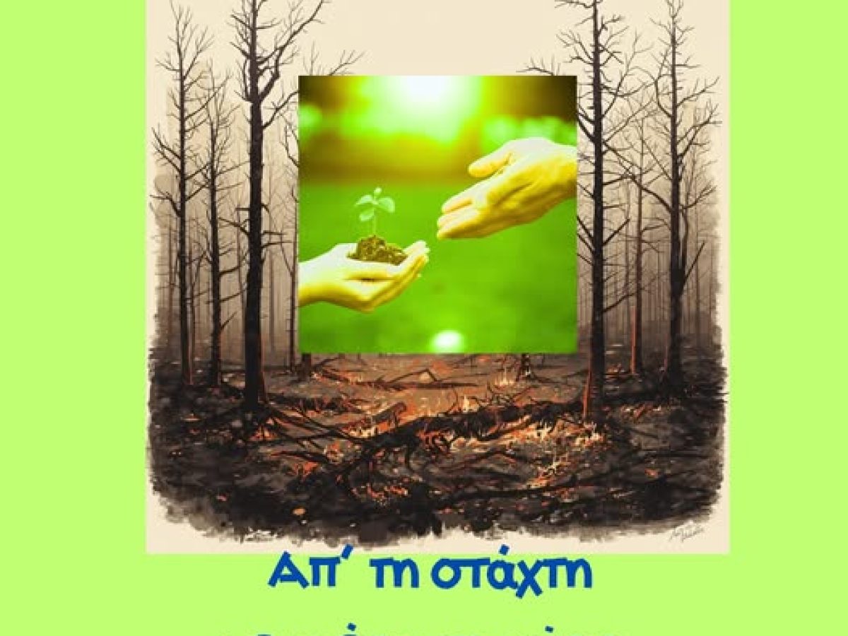 Στους φιναλίστ το τραγούδι του Δημοτικού Σχολείου Καμινίων για την καταστροφική πυρκαγιά