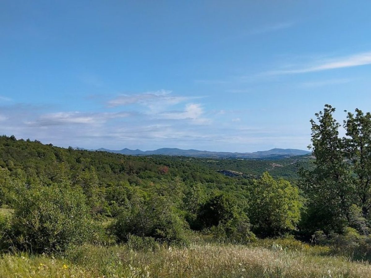 Τα drones «ξανάρχονται» στην Ανατολική Μακεδονία-Θράκη για την αντιπυρική περίοδο