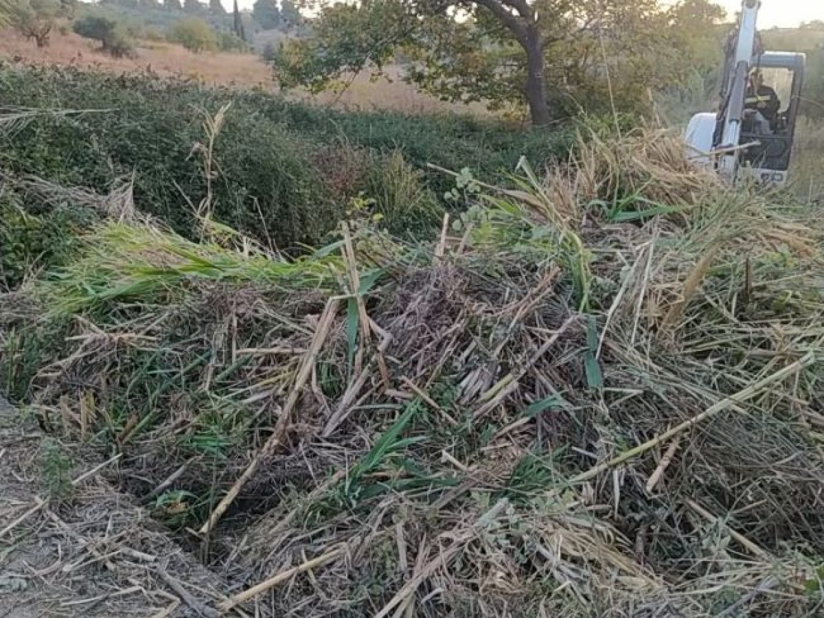 Τα μέτρα για τον υποχρεωτικό καθαρισμό οικοπέδων- τι πρόστιμα θα επιβάλλονται