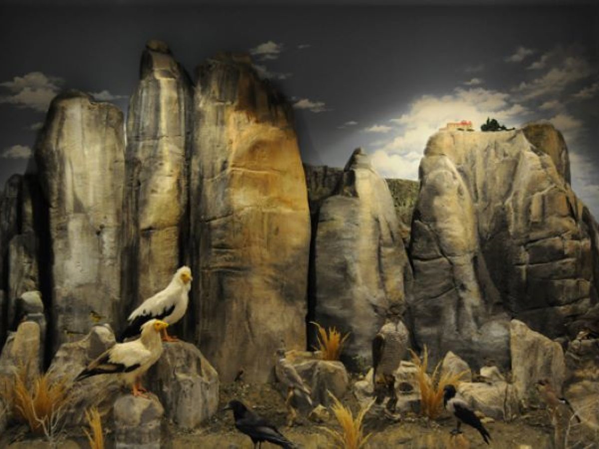 Θέση εργασίας στο Μουσείο Φυσικής Ιστορίας Μετεώρω και Μουσείο Μανιταριών