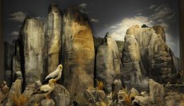 thesi-ergasias-sto-mousio-fisikis