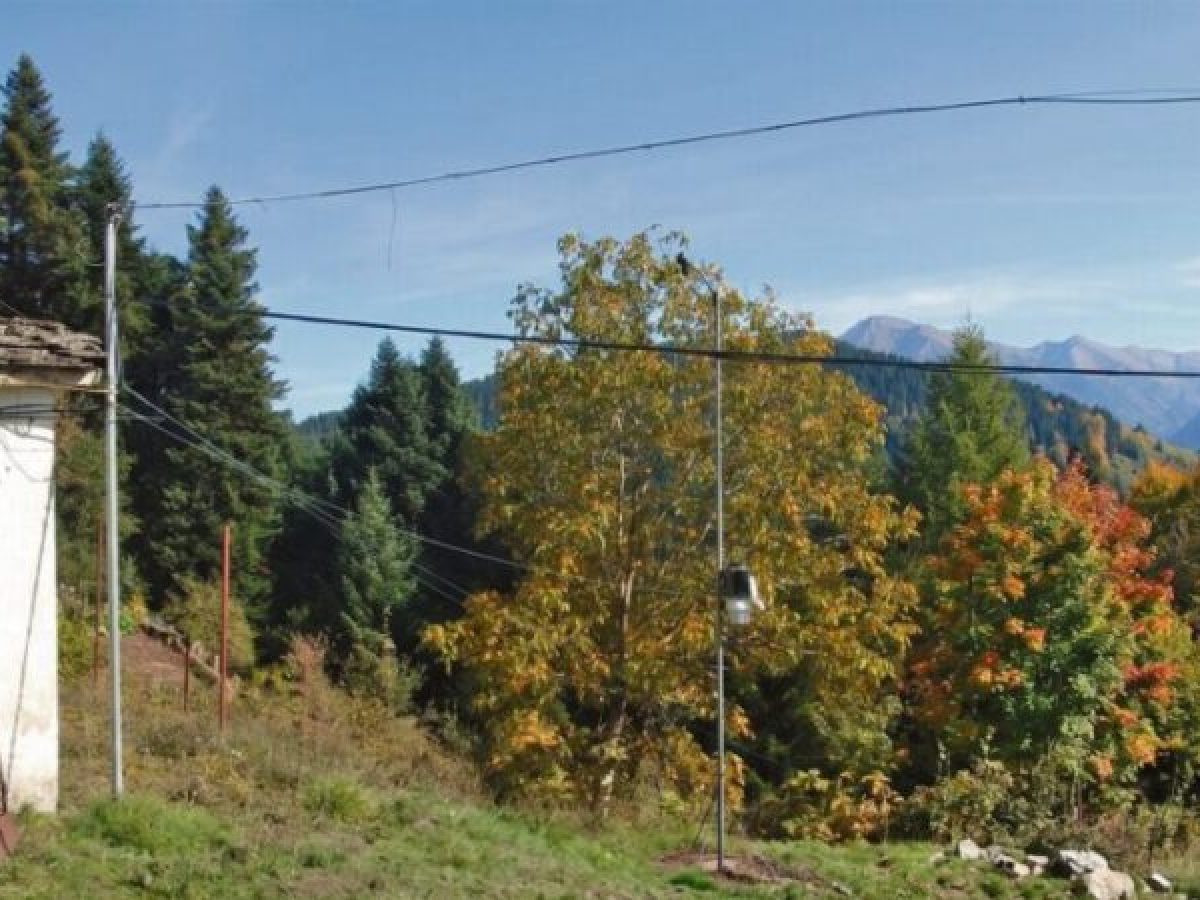 Θεσσαλία: Πρόγνωση πλημμυρών με Τεχνητή Νοημοσύνη