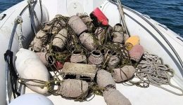 thessaloniki-40-paranomes-ichthiopagides-kataschethikan