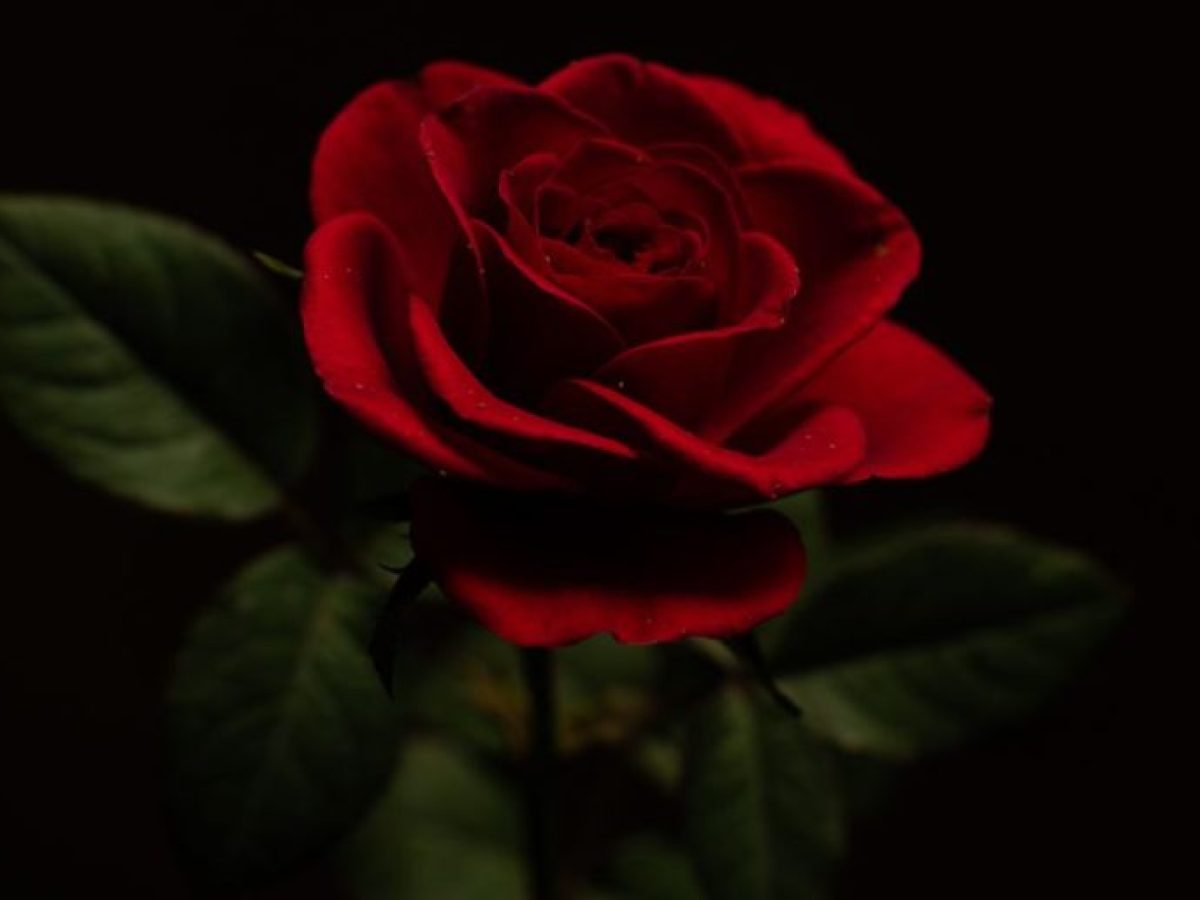 Θλίψη στην Αργολίδα: «Έφυγε» αγαπητός και δραστήριος πρώην Κοινοτάρχης