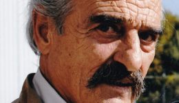 thlipsi-ston-Αgrotiko-sineterismo-zagoras