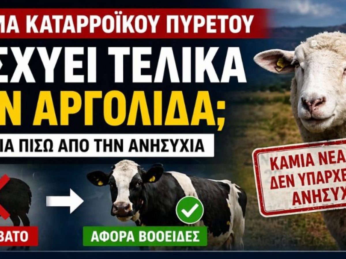Τι ισχύει τελικά με το “κρούσμα καταρροϊκού πυρετού” στην Αργολίδα – Η αλήθεια πίσω από την ανησυχία