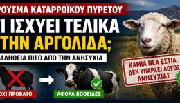 ti-ischii-telika-me-to-2