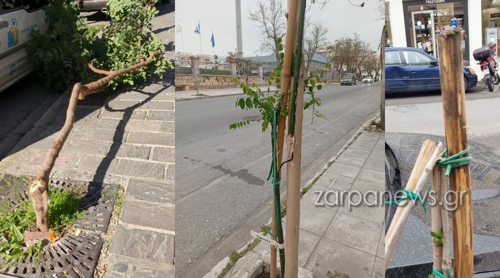 ti-simveni-me-ta-dentra-1