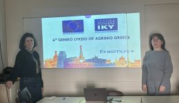 to-6o-gel-&Alpha;griniou-sto