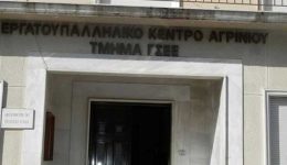 to-ergatiko-kentro-&Alpha;griniou-stirizi-8