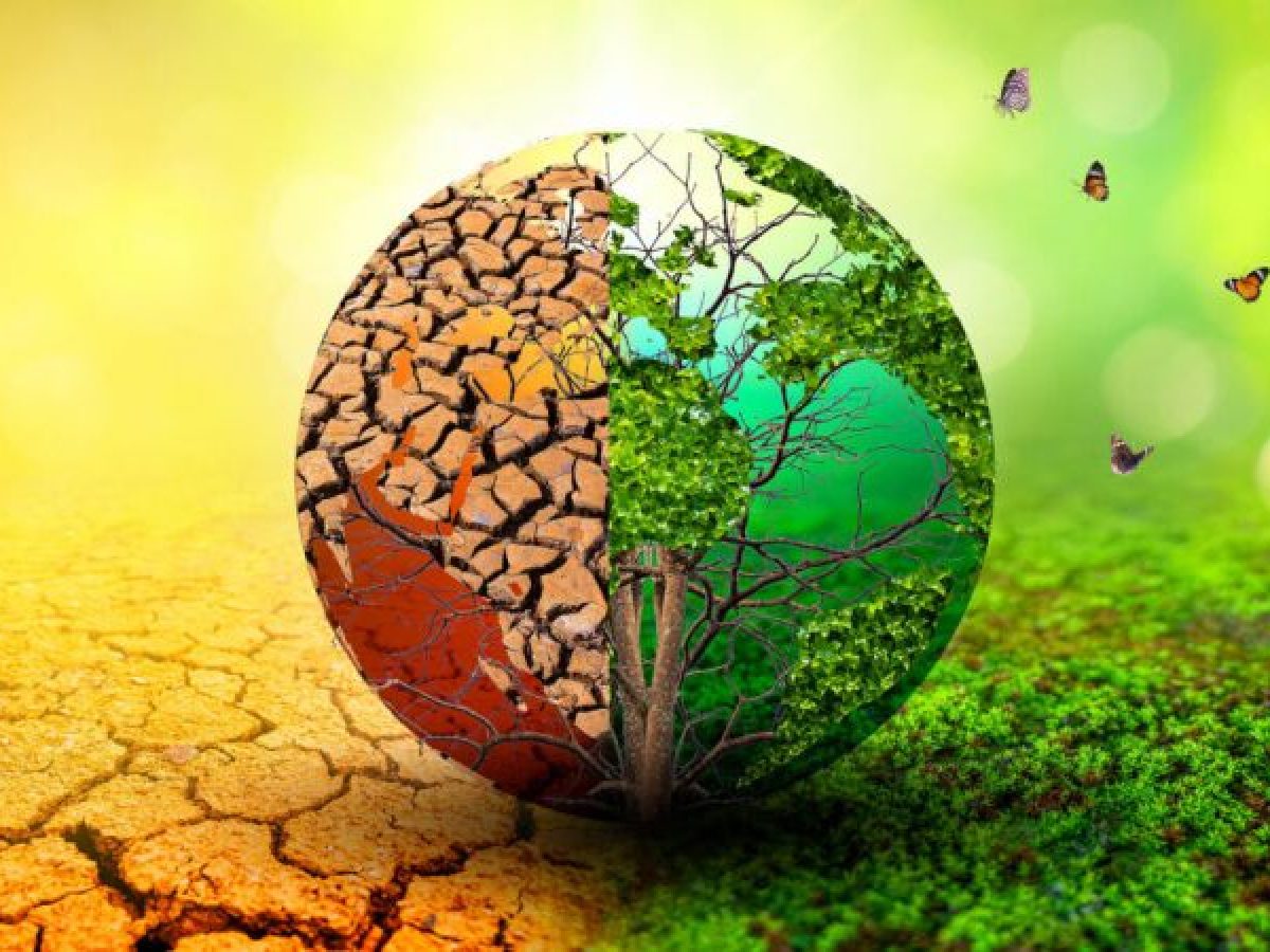 Το μήνυμα του Βλάσση Σιώμου για την Ημέρα της Γης 2026