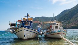 to-neo-programma-tou-ipourgiou