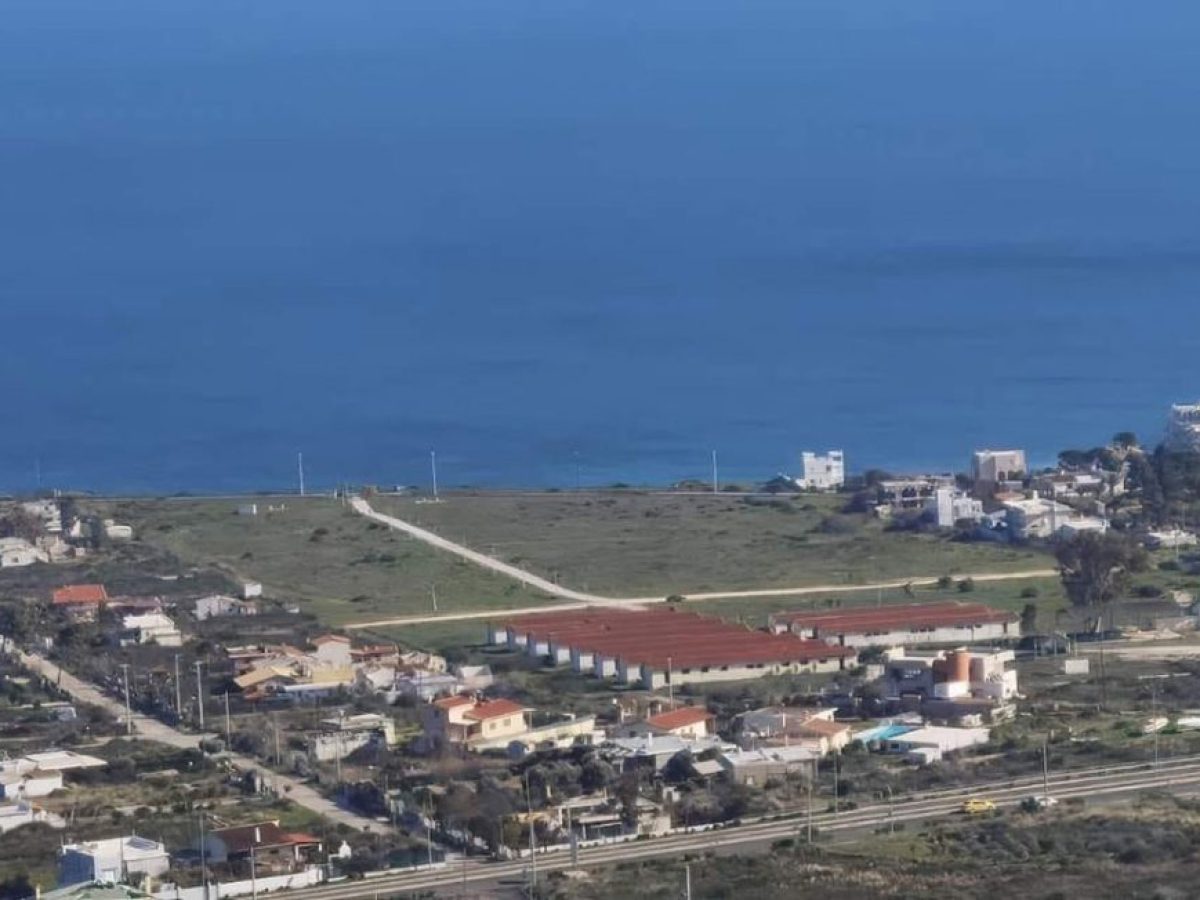 Το ΣτΕ επικυρώνει τα έργα αναδάσωσης και ανάπλασης στο Μάτι παρά τις προσφυγές