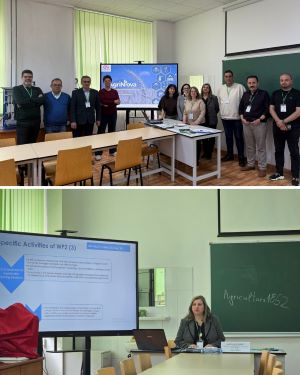 to-veth-simmetechi-dinamika-sto