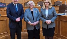 topothetisi-tis-vouleftou-Άnnas-mani-papadimitriou