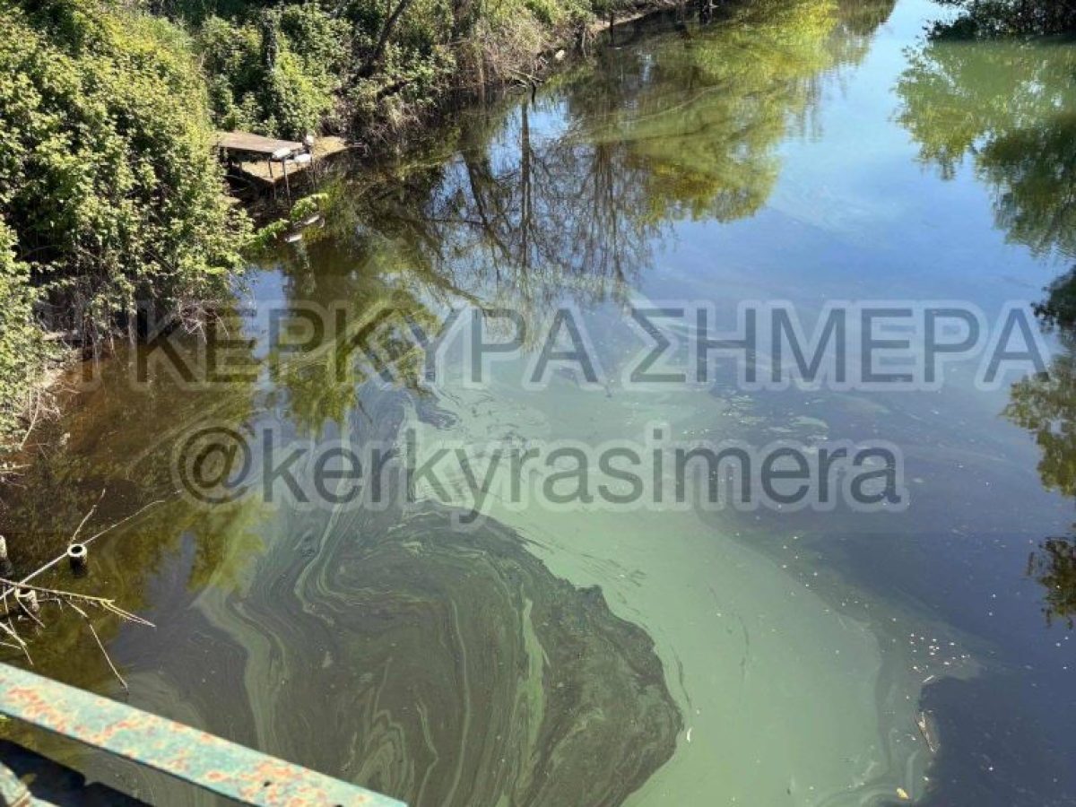 Τραγική η κατάσταση στο ποτάμι στον Ποταμό – Επαναλαμβανόμενη ρύπανση με λύματα παρά τις καταγγελίες