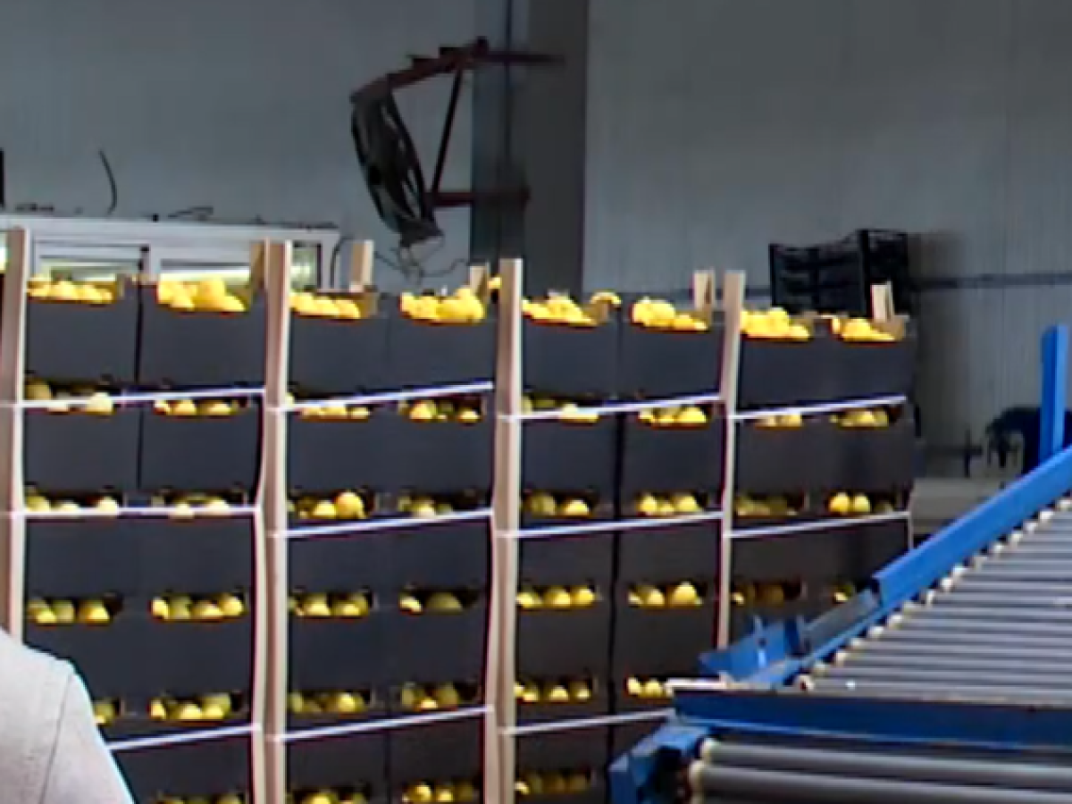 Βέροια: Καταγγελία αγροτών- Ξένη εταιρεία παρέλαβε την παραγωγή τους και δεν τους πλήρωσε