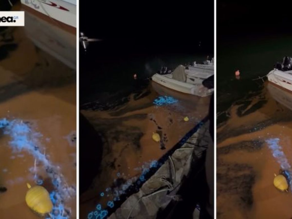 Βιοφωταύγεια στο Λιμάνι των Αβδήρων: Η θάλασσα που «φωσφορίζει» στο σκοτάδι