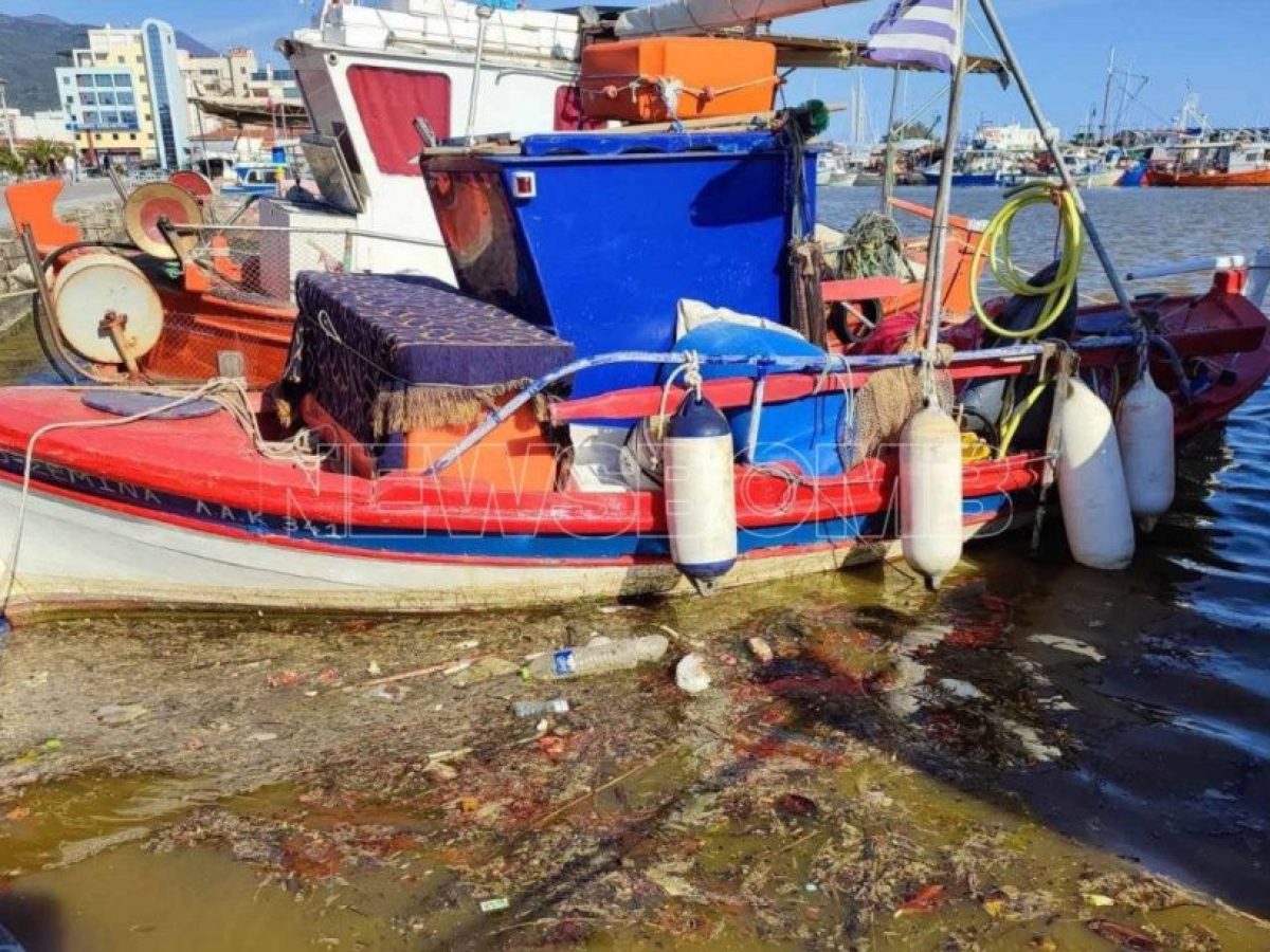 Βόλος: Συνεχίζει να εξαπλώνεται η βλέννα στο λιμάνι – Τι έδειξε η μελέτη των δειγμάτων που ελήφθησαν