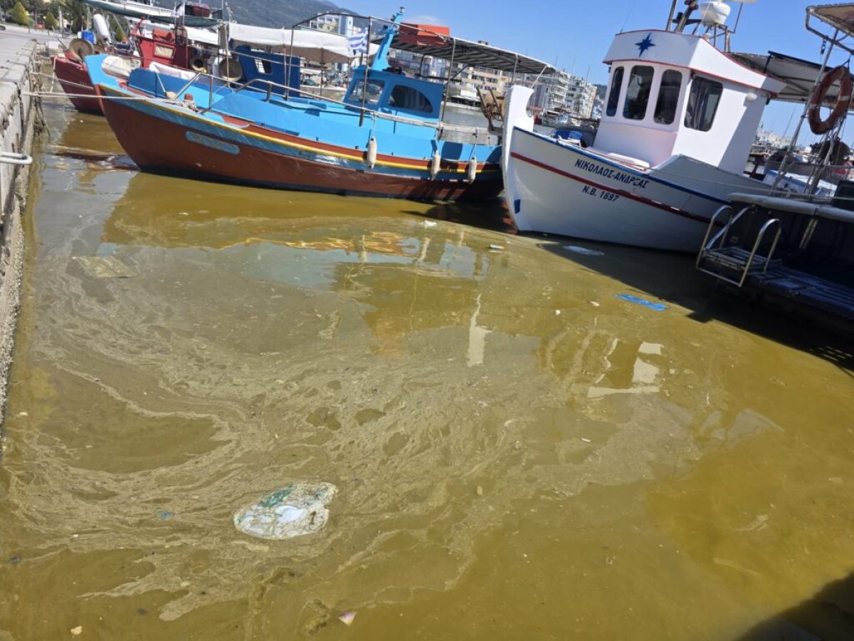 Βόλος: Αποκαρδιωτική εικόνα στο λιμάνι – «Λάθος ερωτήσεις, χωρίς απαντήσεις» προειδοποιεί ο Κορμάς