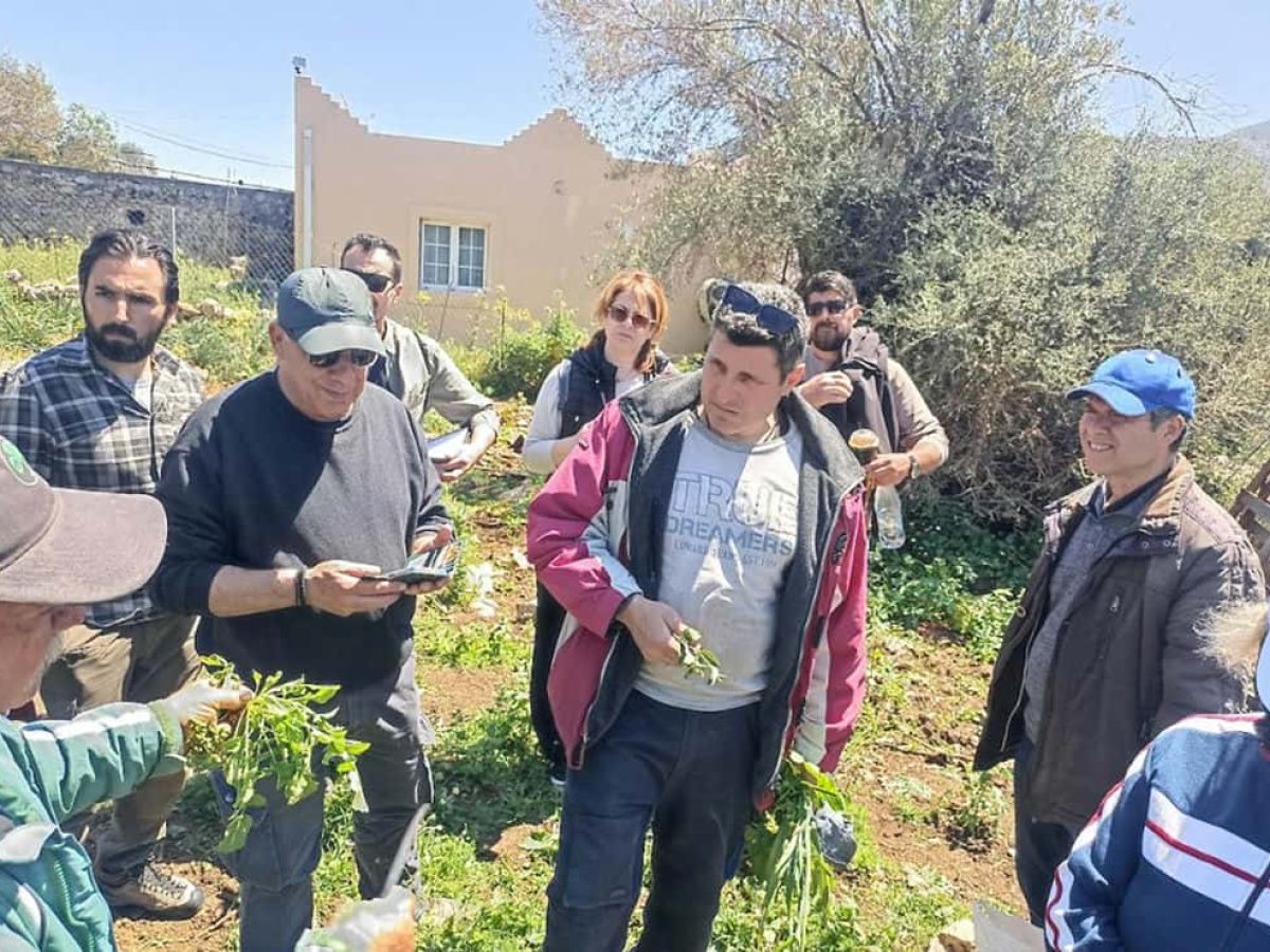 Βοτανικός περίπατος στο Βαθύ: Μια βιωματική επιστροφή στη γνώση της φύσης από την Ενωμένη Ρωμηοσύνη Καλύμνου