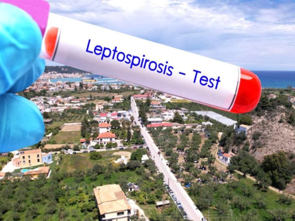 Ζάκυνθος | Επιβεβαιώθηκαν 3 κρούσματα λεπτοσπείρωσης από τον ΕΟΔΥ