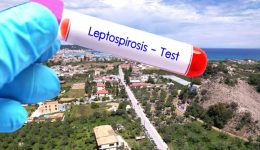 zakinthos-epiveveothikan-3-krousmata