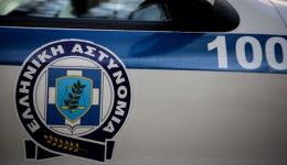 Άgria-epithesi-me-thima-17chrono-1