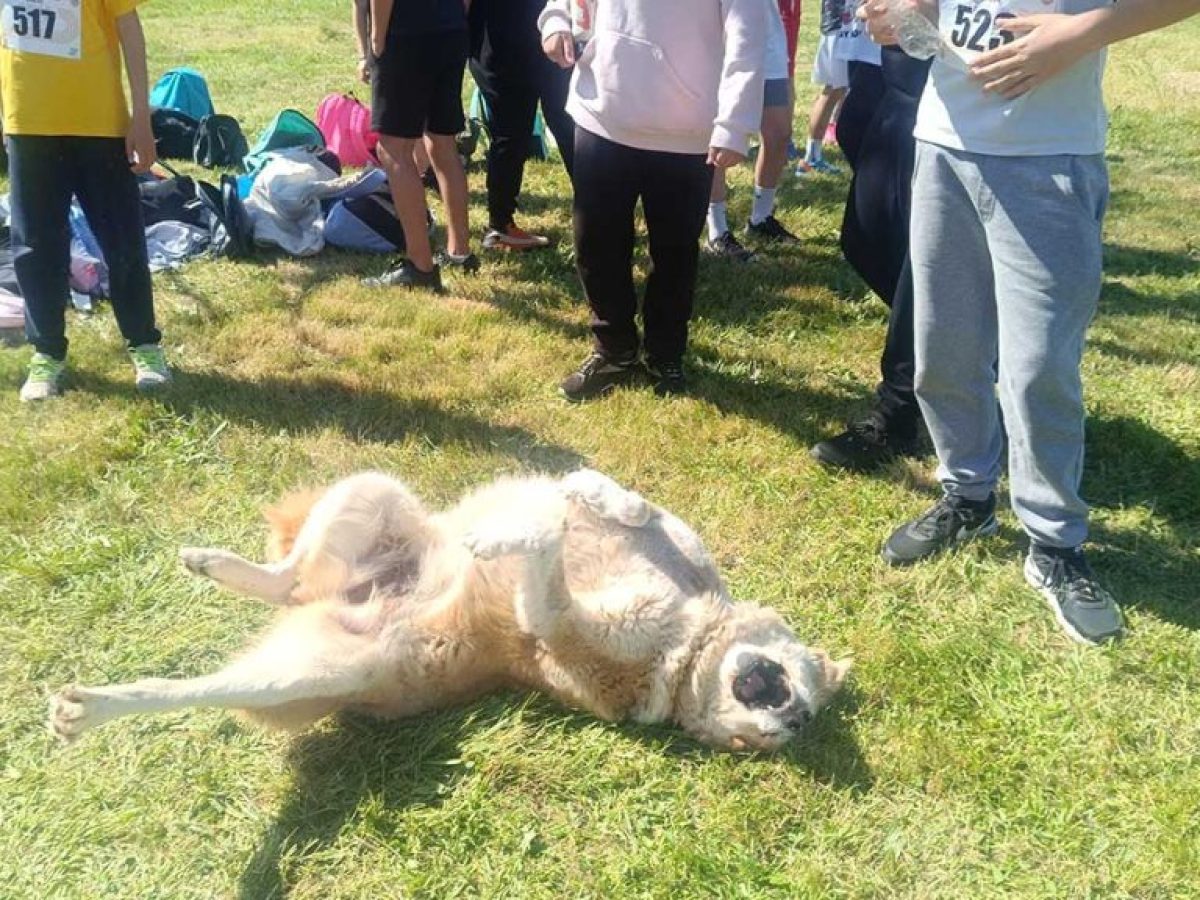 Άλλοι έτρεξαν, άλλος κουράστηκε