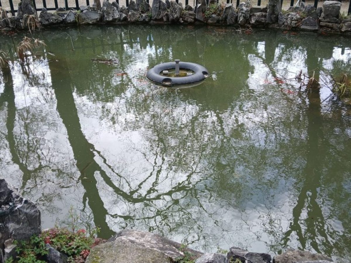 Άλσος Κηφισιάς: Η Κατάντια σε Όλο της το Μεγαλείο.