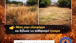 Άnixe-i-platforma-gia-dilosis
