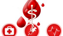 Α-emodosia-milou-2026-167