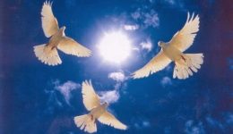 Αgiou-pnevmatos-2026-–-pote