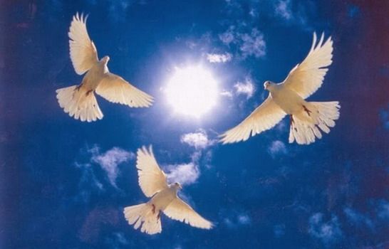 Αgiou-pnevmatos-2026-–-pote