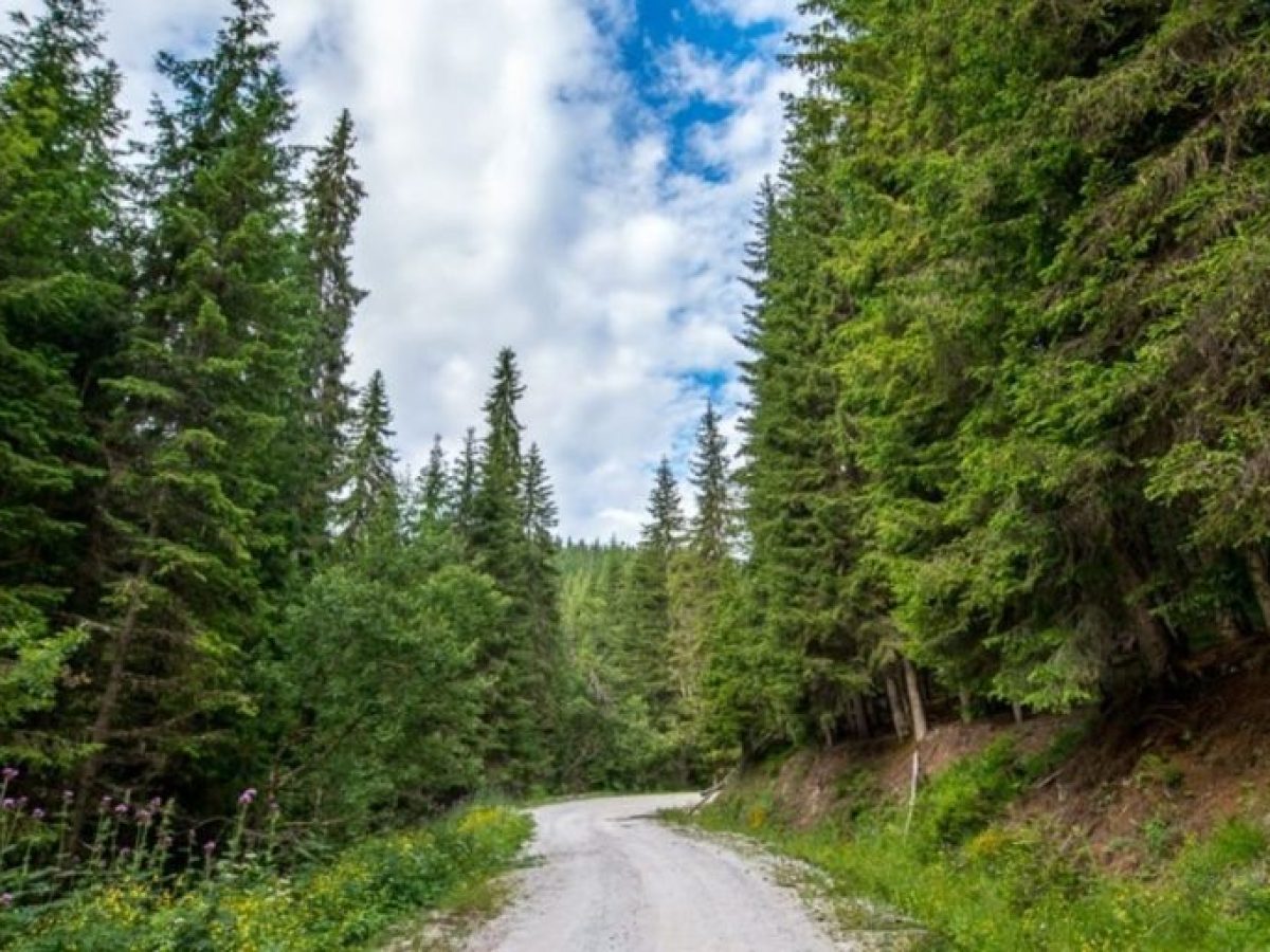 Αγώνες, φύση και ιστορία στη μεγάλη γιορτή βουνού της Αργολίδας