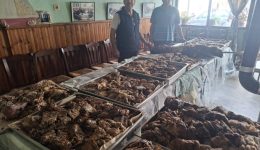 Αgrinio-me-agapi-ke-prosfora